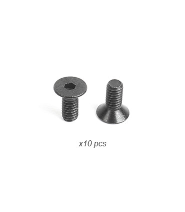 2.5x6mm Thin Flat Screw (10)
